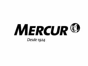 Mercur